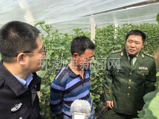 唐山十大适合春季旅游的地方2025年排行榜前十名榜单出炉