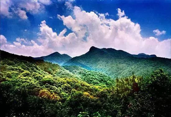 全国十大火龙果产地2025年排行榜前十名榜单出炉