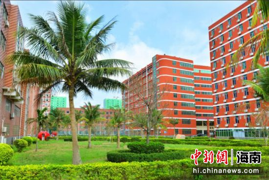 2025年海南科技职业大学招生章程