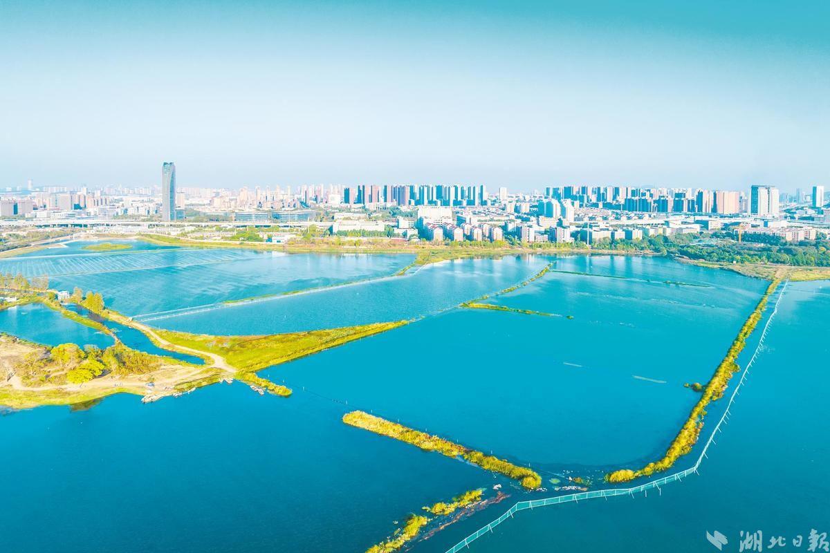 2025年三峡大学招生章程