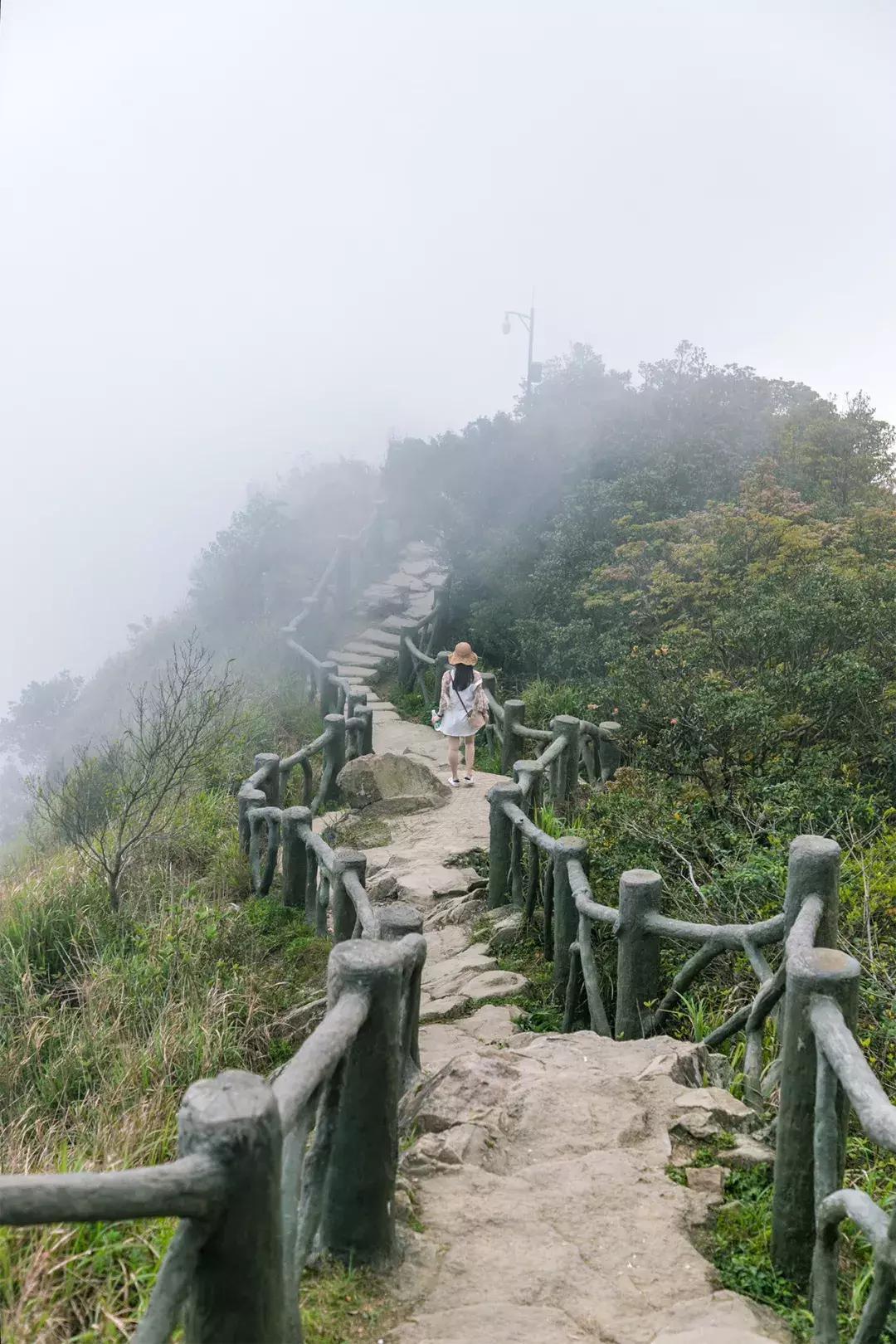 深圳十大免费景点2025年排行榜前十名榜单出炉 深圳十大免费景点2025年排行榜前十名榜单出炉