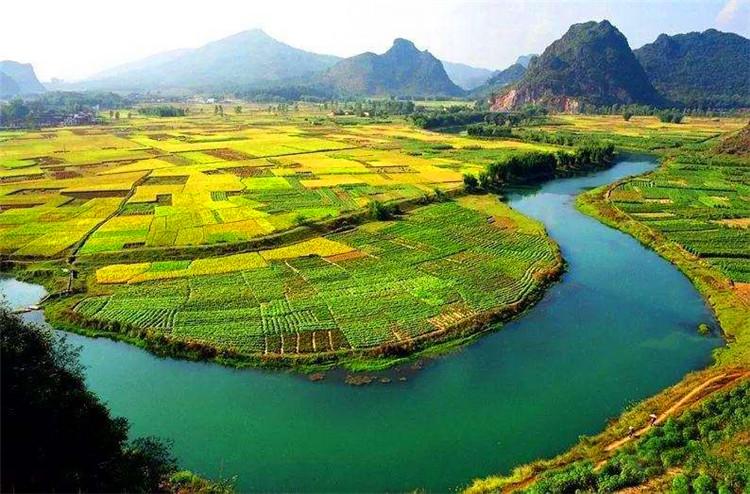 清远著名地理标志保护产品2025年排行榜前十名榜单出炉