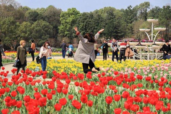 湖南十大赏花胜地2025年排行榜前十名榜单出炉