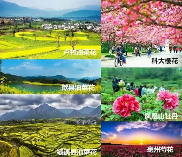 湖南十大赏花胜地2025年排行榜前十名榜单出炉