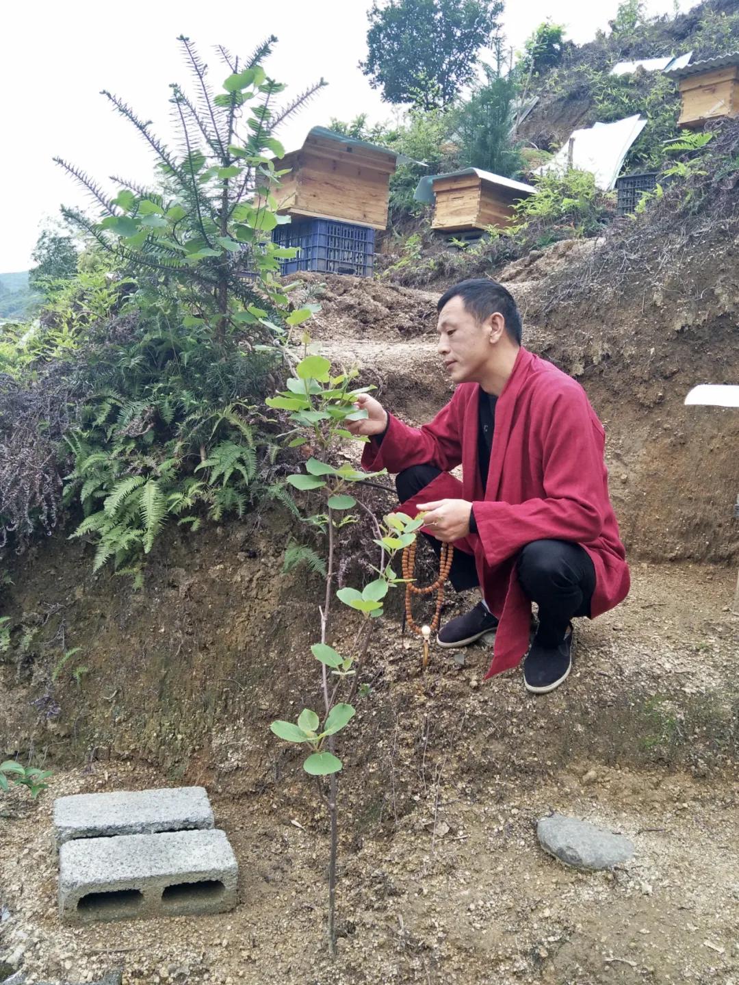 三清山十大特产2025年排行榜前十名榜单出炉 三清山十大特产2025年排行榜前十名榜单出炉