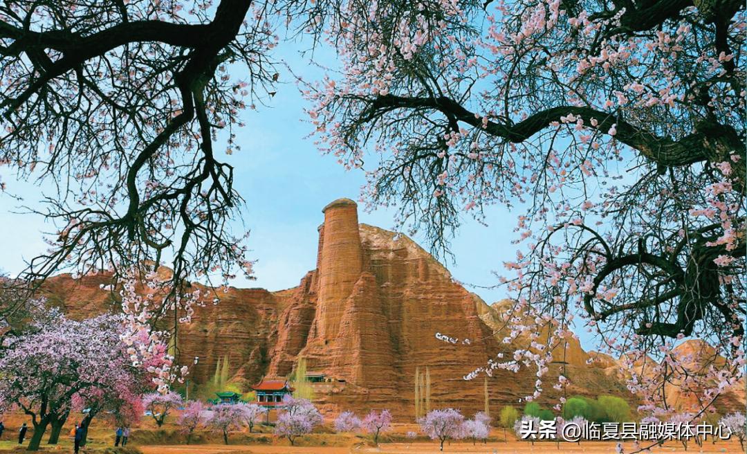 临夏十大著名景点2025年排行榜前十名榜单出炉 临夏十大著名景点2025年排行榜前十名榜单出炉
