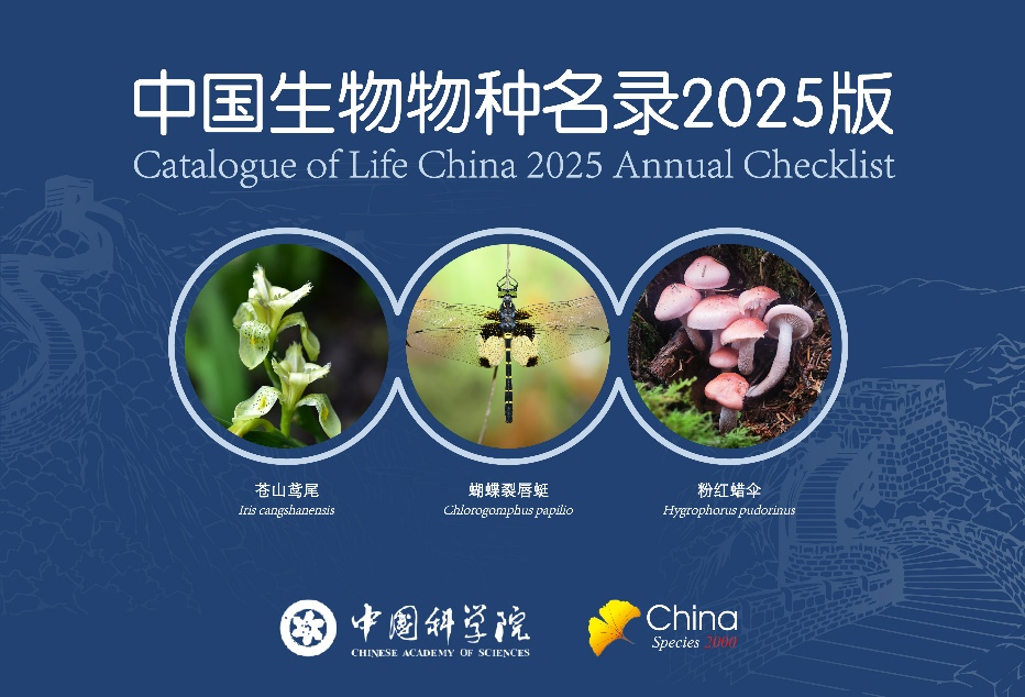 中国国家保护草本植物名录2025年排行榜前十名榜单出炉 中国国家保护草本植物名录2025年排行榜前十名榜单出炉