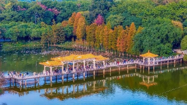 广州十大城市公园2025年排行榜前十名榜单出炉 广州十大城市公园2025年排行榜前十名榜单出炉