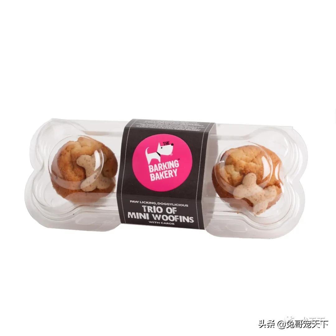 十大素食宠物2025年排行榜前十名榜单出炉 十大素食宠物2025年排行榜前十名榜单出炉