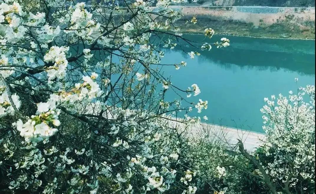 陕西十大赏花胜地2025年排行榜前十名榜单出炉 陕西十大赏花胜地2025年排行榜前十名榜单出炉