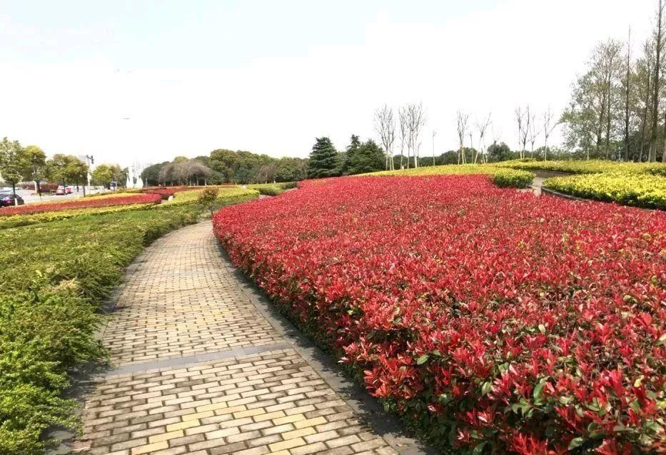 南昌十大适合露营的地方2025年排行榜前十名榜单出炉