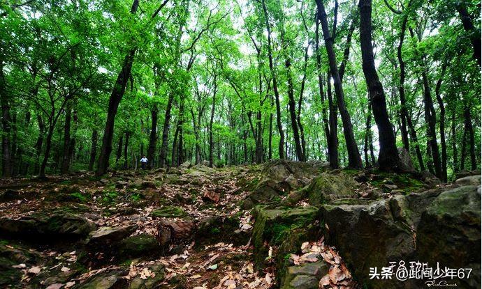 重庆市南岸区十大著名旅游景点2025年排行榜前十名榜单出炉