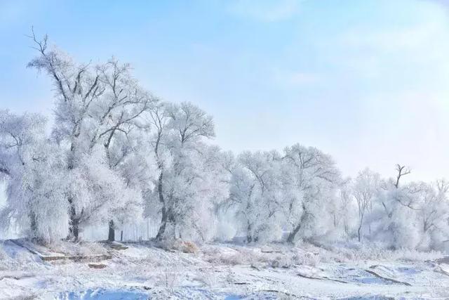 中国十大最美雾凇观赏地2025年排行榜前十名榜单出炉 中国十大最美雾凇观赏地2025年排行榜前十名榜单出炉