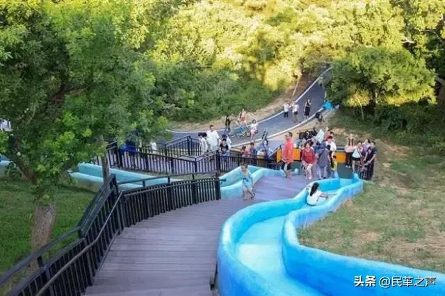 台湾十大赏花胜地2025年排行榜前十名榜单出炉 台湾十大赏花胜地2025年排行榜前十名榜单出炉