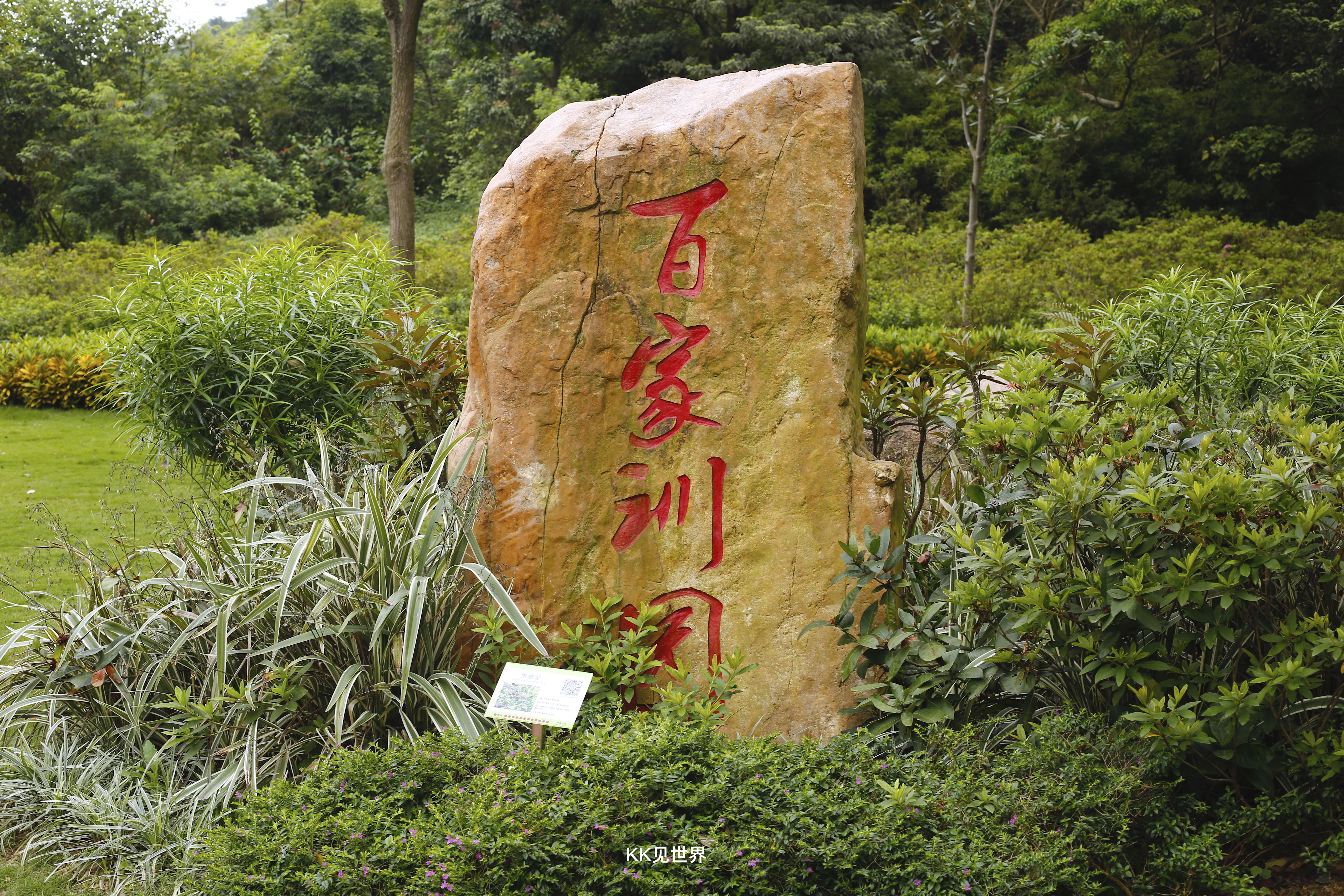 珠海十大赏花胜地2025年排行榜前十名榜单出炉 珠海十大赏花胜地2025年排行榜前十名榜单出炉
