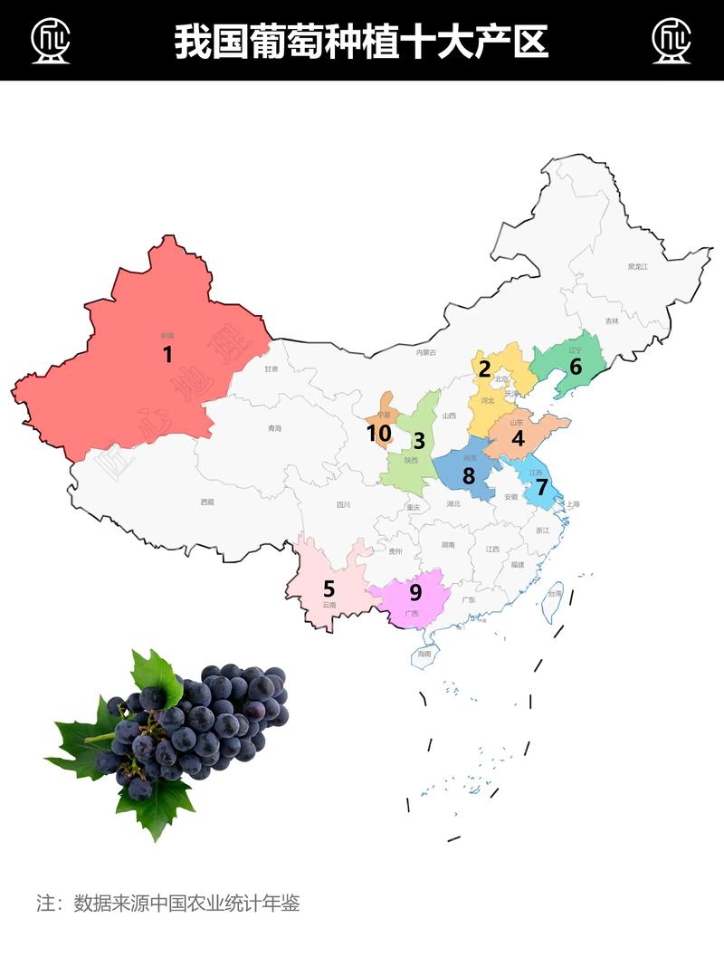 全国十大葡萄产地2025年排行榜前十名榜单出炉