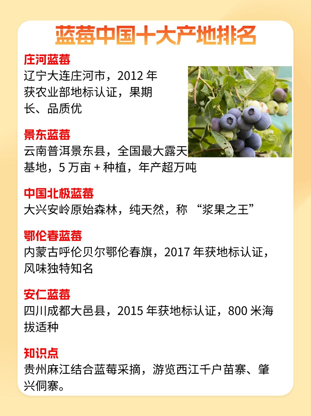 全国十大蓝莓产地2025年排行榜前十名榜单出炉 全国十大蓝莓产地2025年排行榜前十名榜单出炉