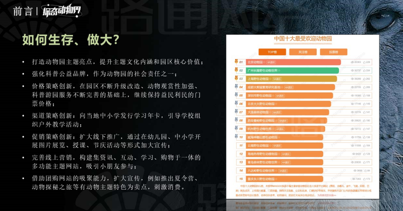 中国十大最受欢迎动物园2025年排行榜前十名榜单出炉 中国十大最受欢迎动物园2025年排行榜前十名榜单出炉