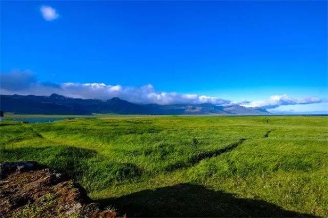 内蒙古最值得去的十大草原2025年排行榜前十名榜单出炉 内蒙古最值得去的十大草原2025年排行榜前十名榜单出炉