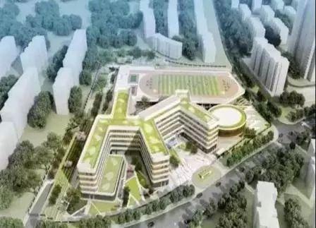 青岛十大游泳馆2025年排行榜前十名榜单出炉 青岛十大游泳馆2025年排行榜前十名榜单出炉
