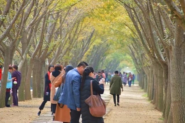 江苏邳州十大最好玩的景点2025年排行榜前十名榜单出炉