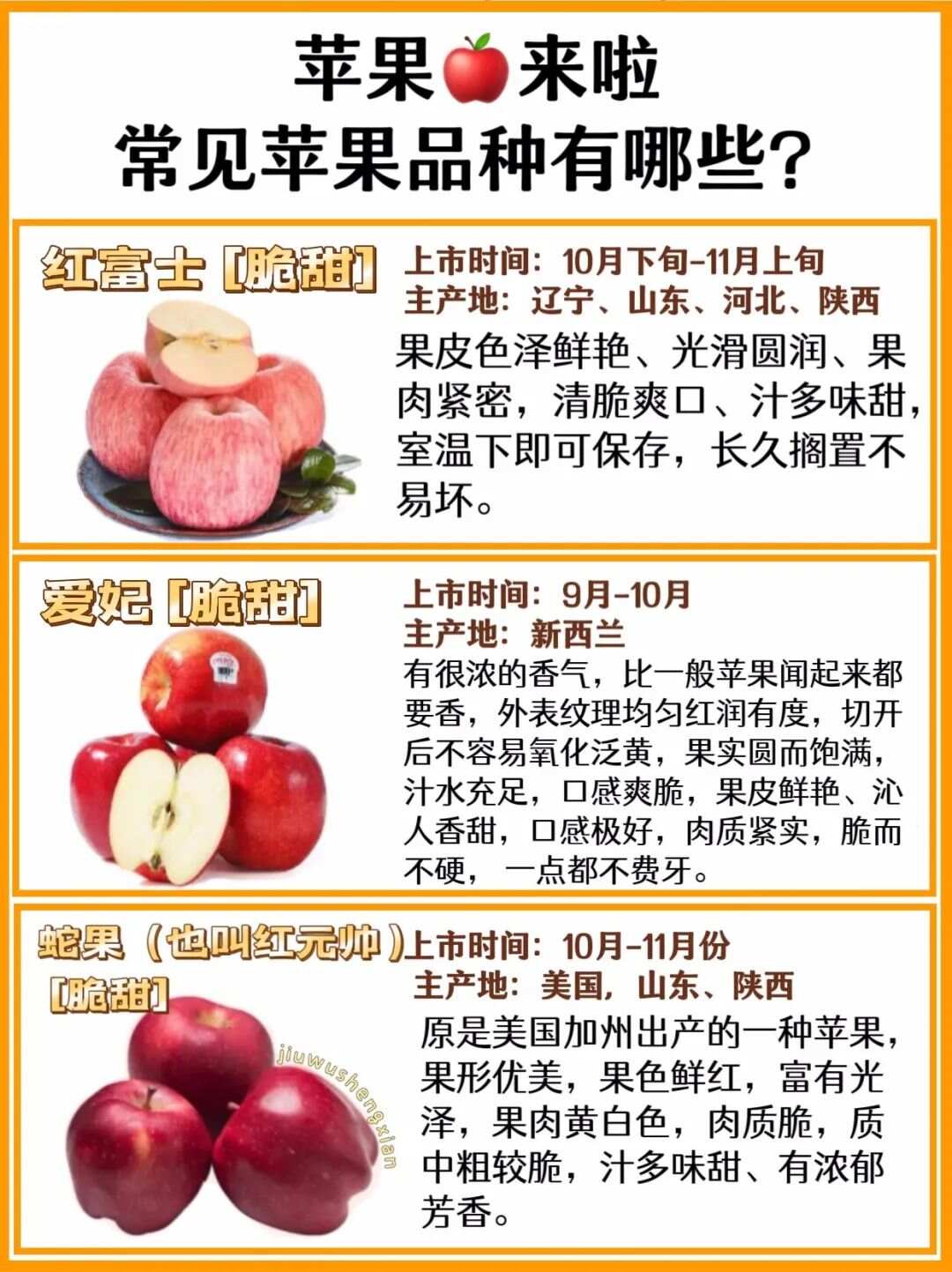 世界十大最好的苹果品种2025年排行榜前十名榜单出炉 世界十大最好的苹果品种2025年排行榜前十名榜单出炉