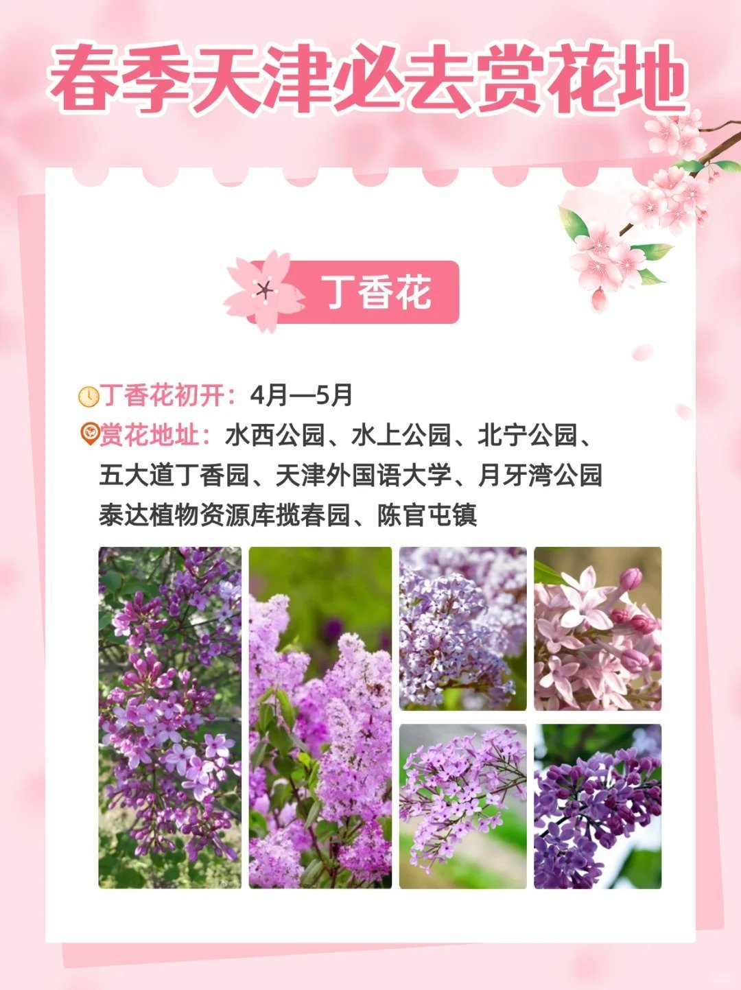 天津十大赏花胜地2025年排行榜前十名榜单出炉 天津十大赏花胜地2025年排行榜前十名榜单出炉