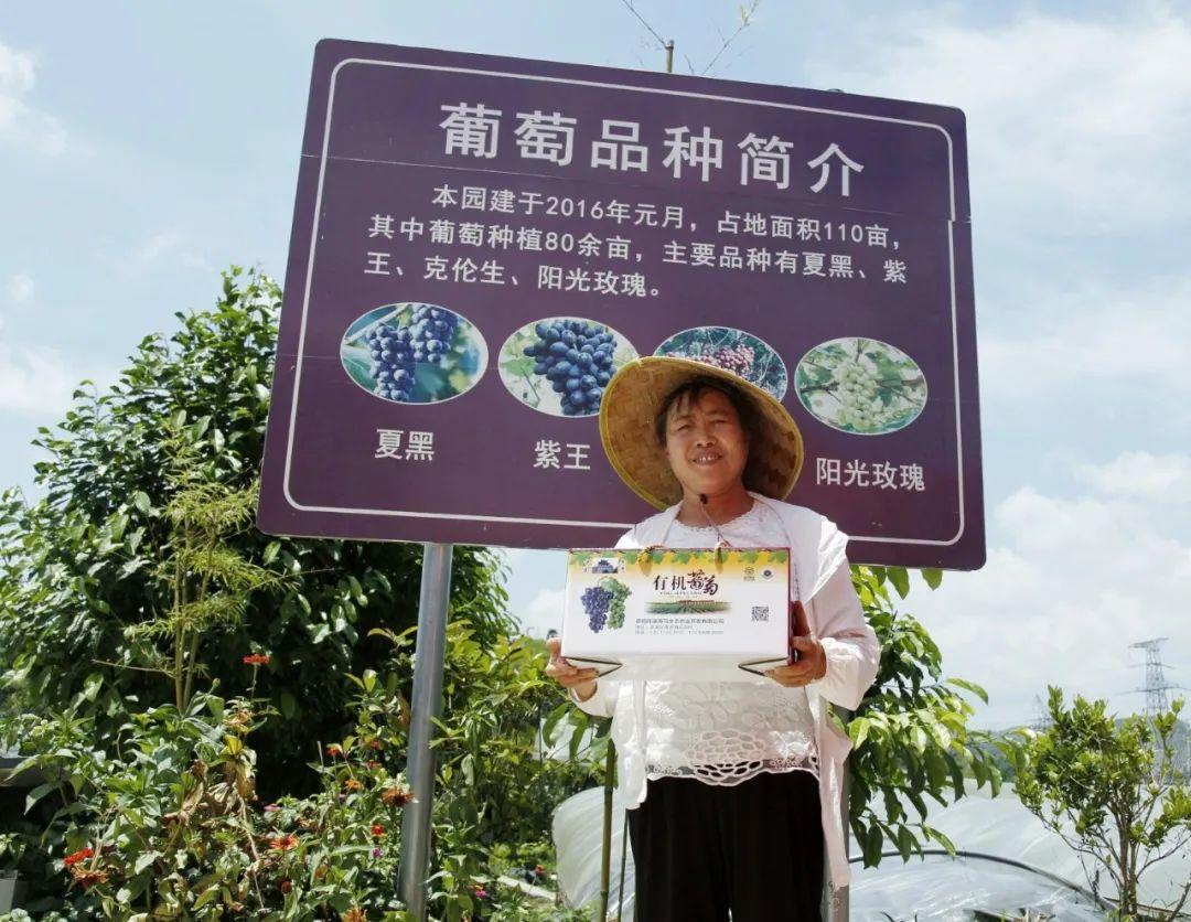 贵阳市适合亲子旅游的地方2025年排行榜前十名榜单出炉