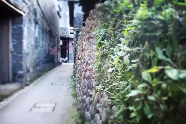 泉州十大最好玩的景点2025年排行榜前十名榜单出炉