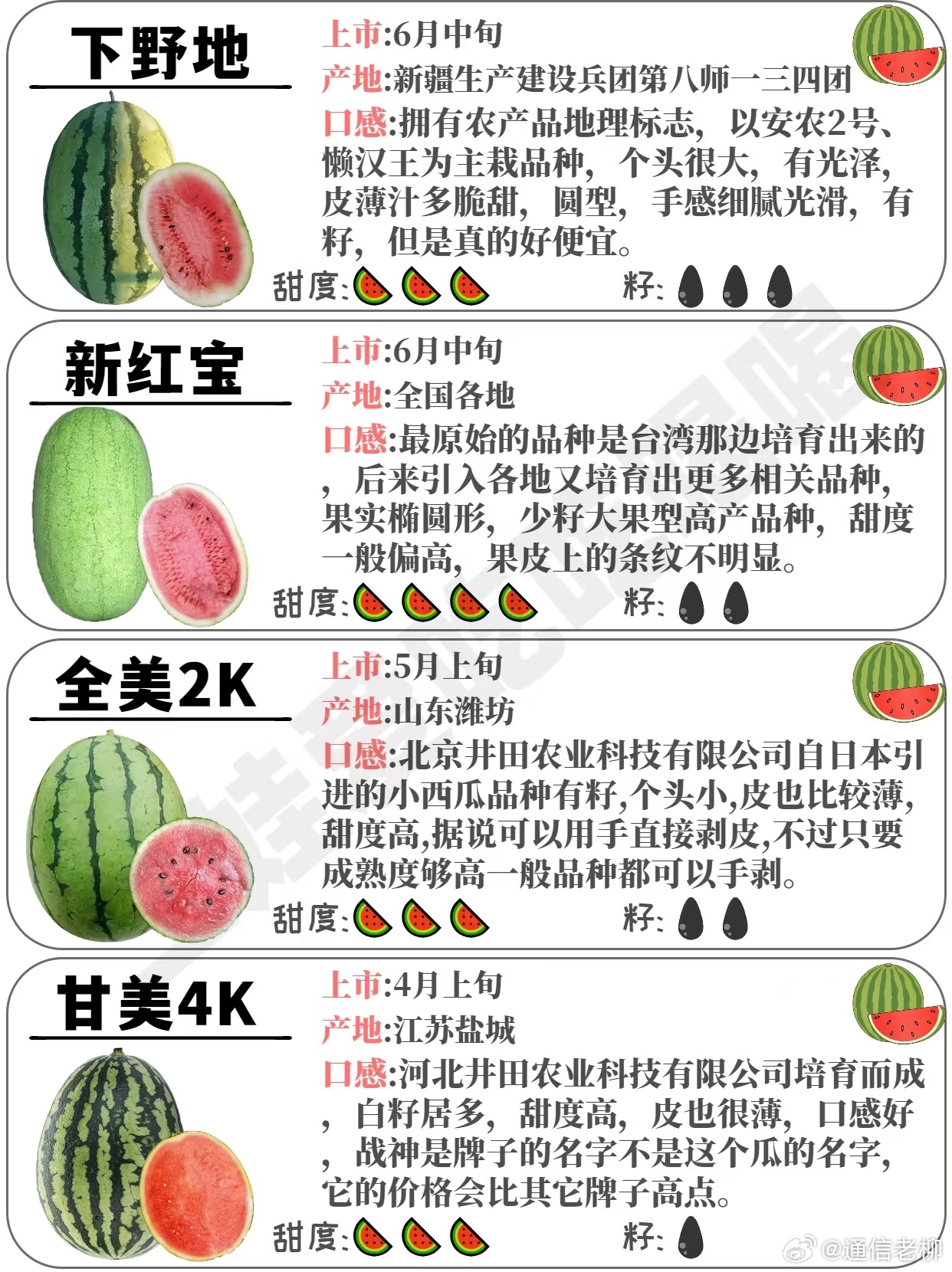 河南十大西瓜2025年排行榜前十名榜单出炉