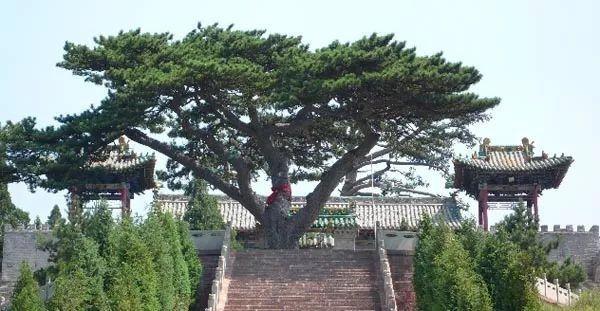 山西十大近代名人2025年排行榜前十名榜单出炉