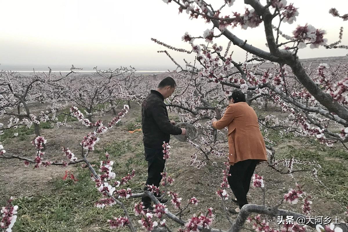 山西十大赏花胜地2025年排行榜前十名榜单出炉