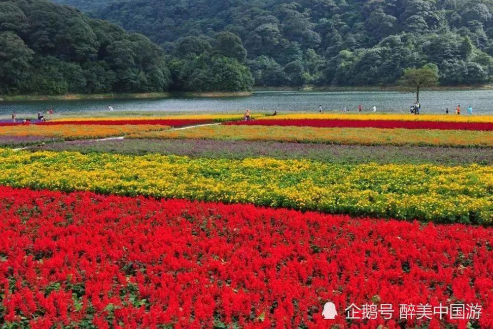 山西十大赏花胜地2025年排行榜前十名榜单出炉
