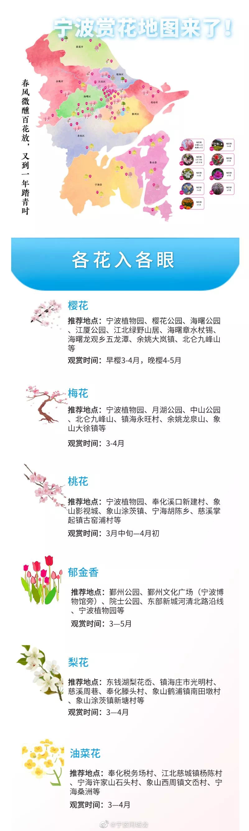 宁波十大赏花胜地2025年排行榜前十名榜单出炉