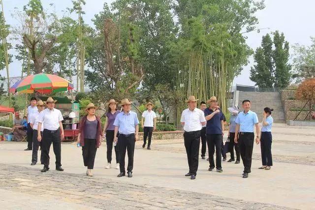 十大金银花产地2025年排行榜前十名榜单出炉