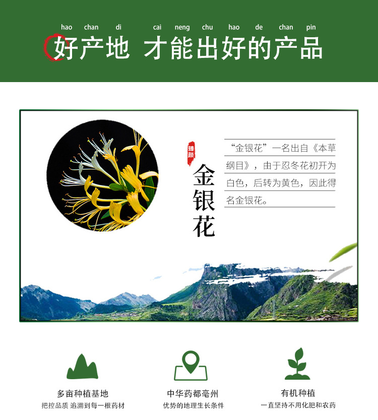 十大金银花产地2025年排行榜前十名榜单出炉