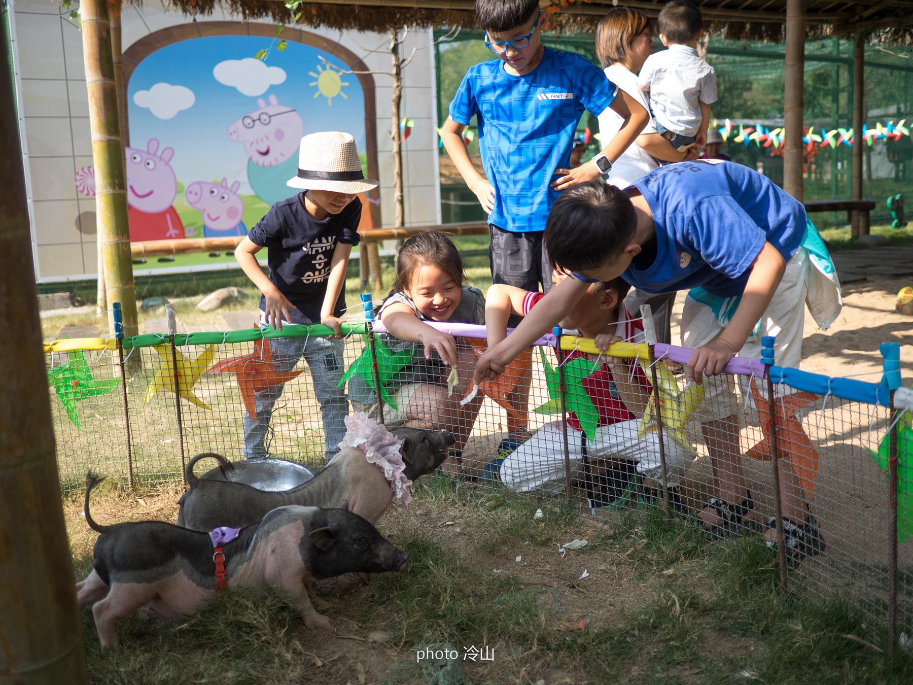 中国十大丹霞名山2025年排行榜前十名榜单出炉