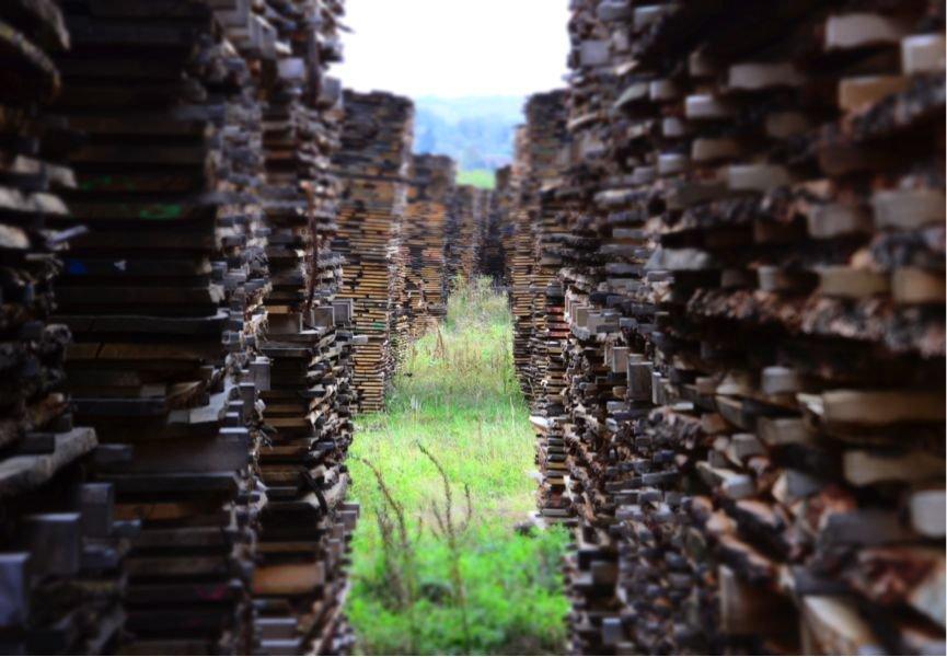 大连十大家居建材市场2025年排行榜前十名榜单出炉