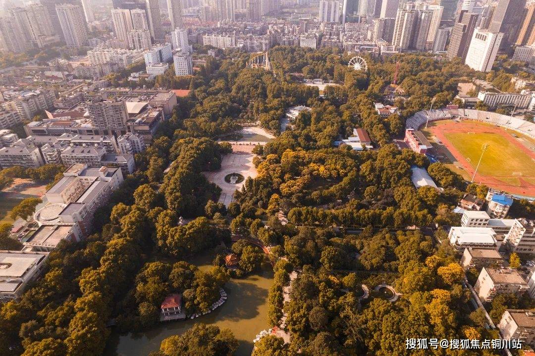 武汉十大城市公园2025年排行榜前十名榜单出炉