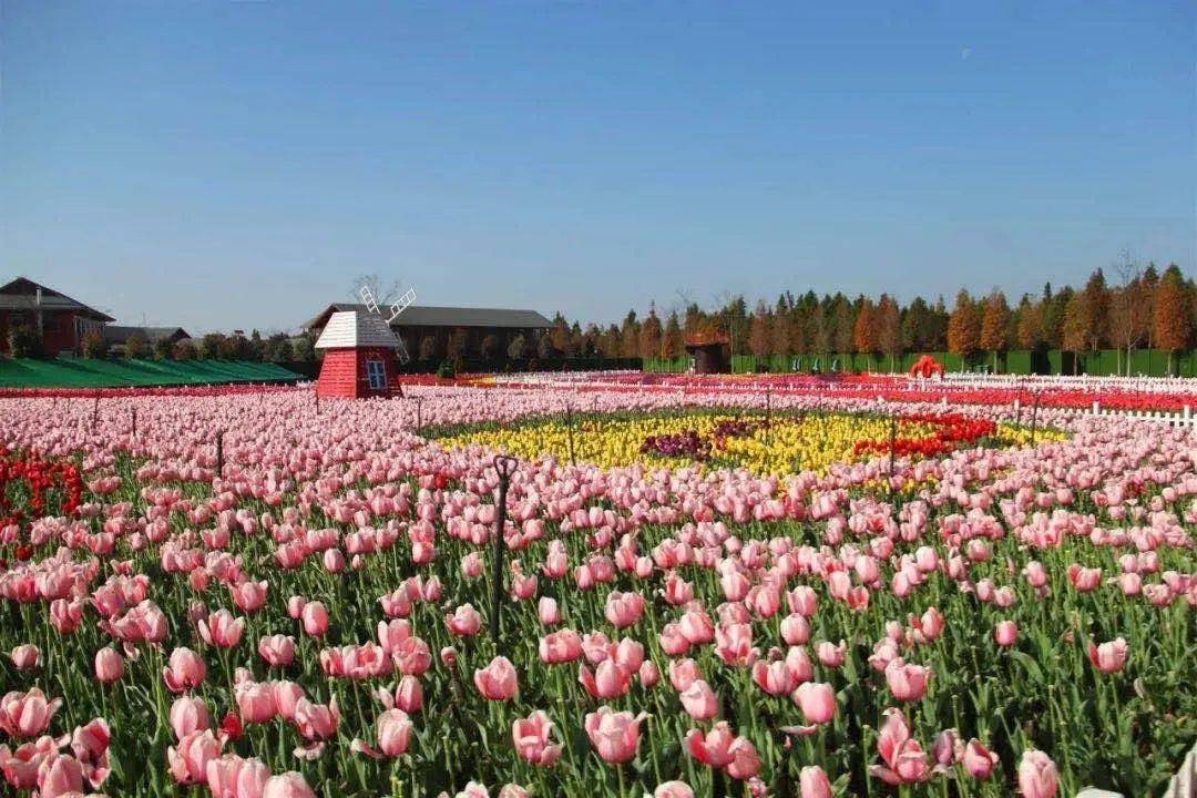 河南十大赏花胜地2025年排行榜前十名榜单出炉