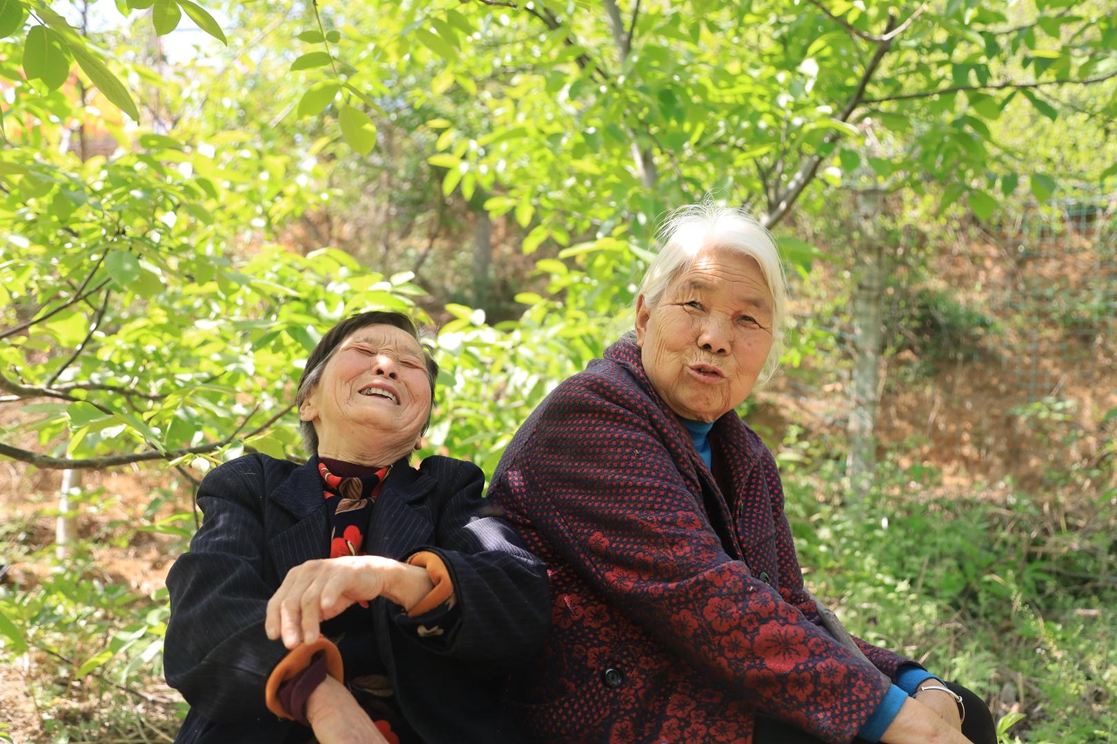 河南十大赏花胜地2025年排行榜前十名榜单出炉