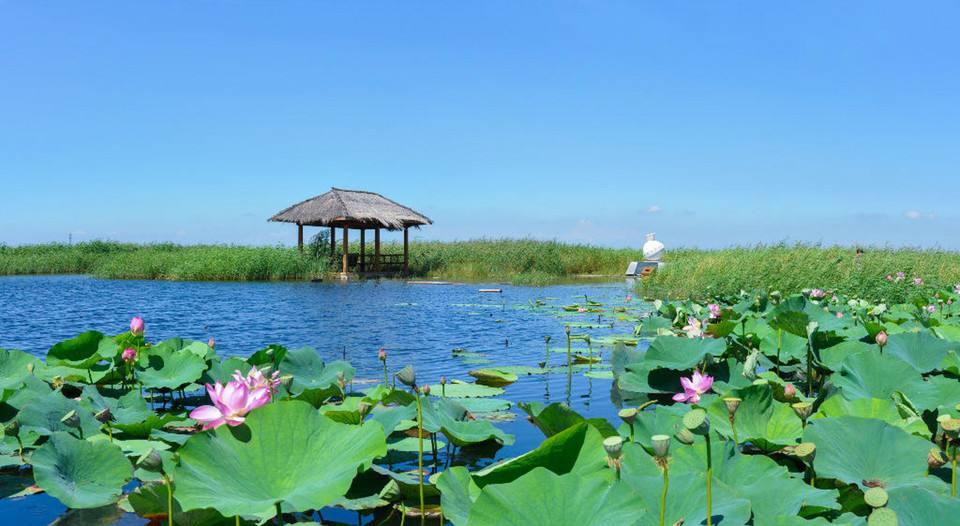 呼伦贝尔自然景观前十名2025年排行榜前十名榜单出炉