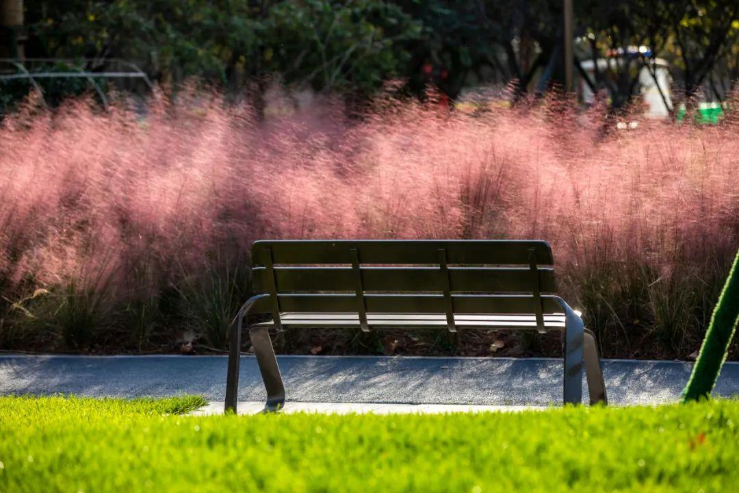 石家庄适合放风筝的地方2025年排行榜前十名榜单出炉