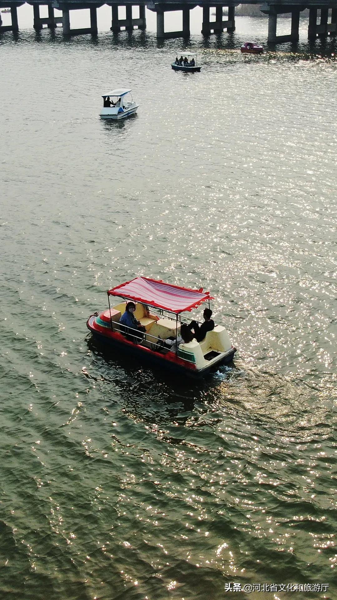 石家庄适合放风筝的地方2025年排行榜前十名榜单出炉