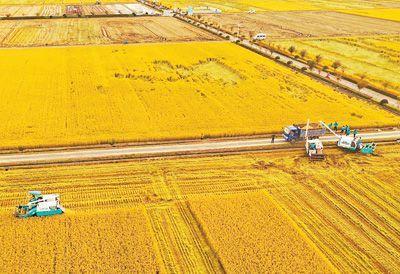 2025年苏州农业职业技术学院招生章程 2025年苏州农业职业技术学院招生章程