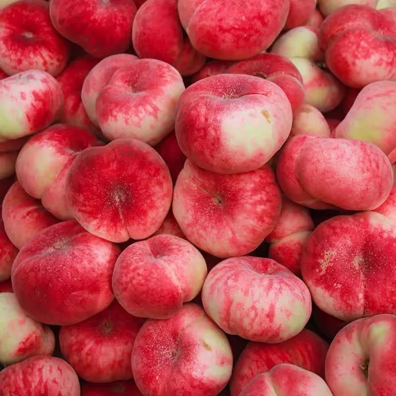 全国十大蟠桃产地2025年排行榜前十名榜单出炉 全国十大蟠桃产地2025年排行榜前十名榜单出炉