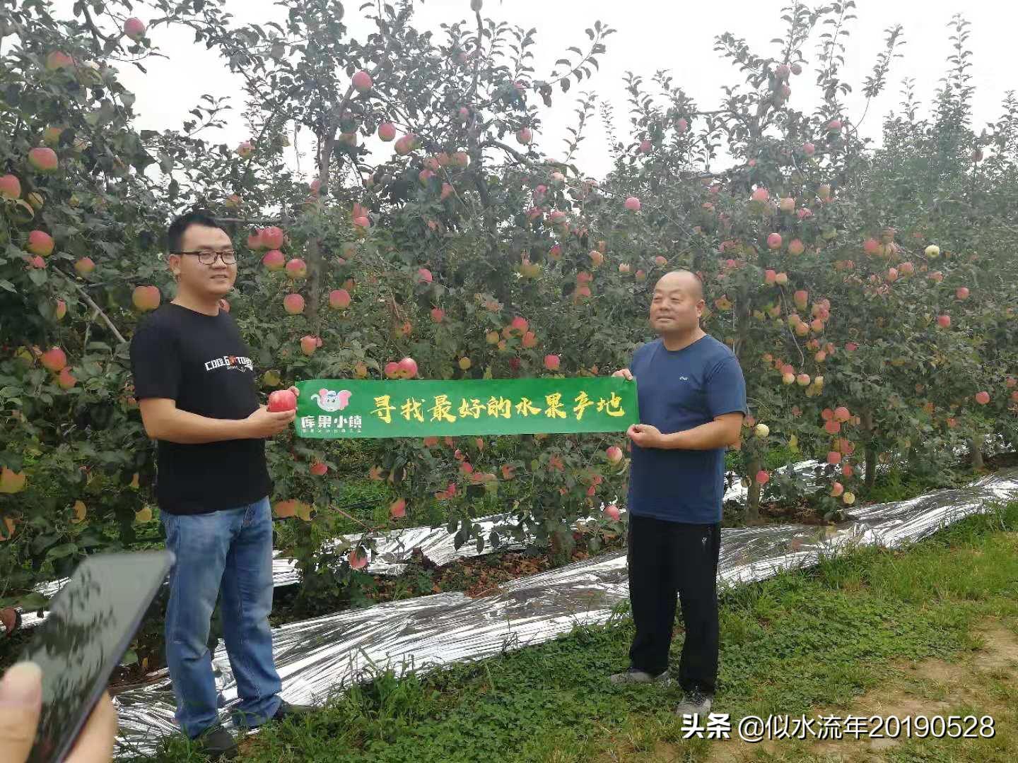 全国十大蟠桃产地2025年排行榜前十名榜单出炉 全国十大蟠桃产地2025年排行榜前十名榜单出炉