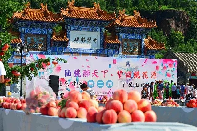 全国十大蟠桃产地2025年排行榜前十名榜单出炉 全国十大蟠桃产地2025年排行榜前十名榜单出炉