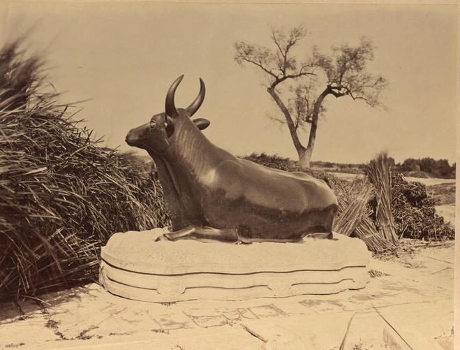 西藏十大名胜古迹2025年排行榜前十名榜单出炉