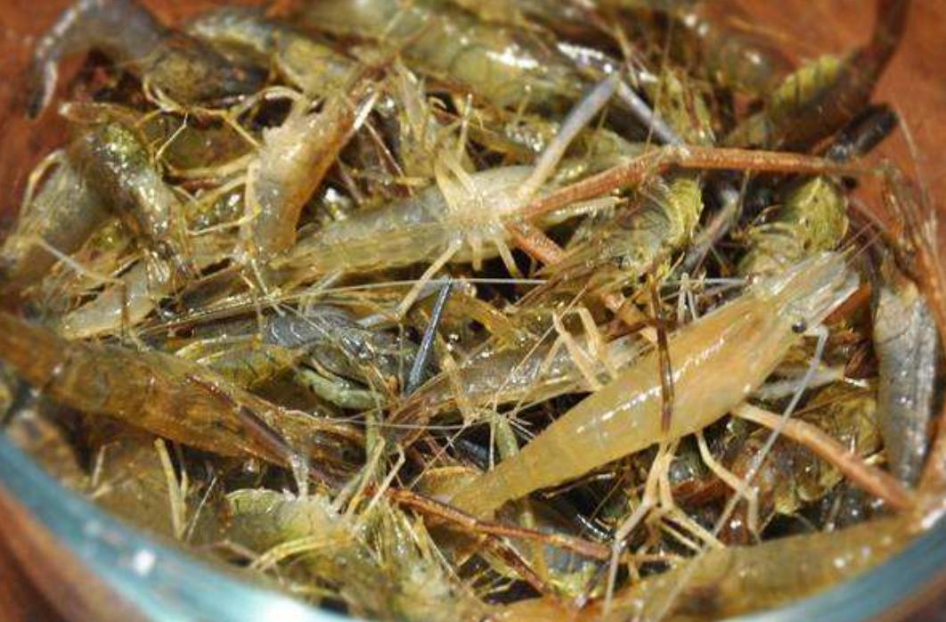 十大青虾产地2025年排行榜前十名榜单出炉